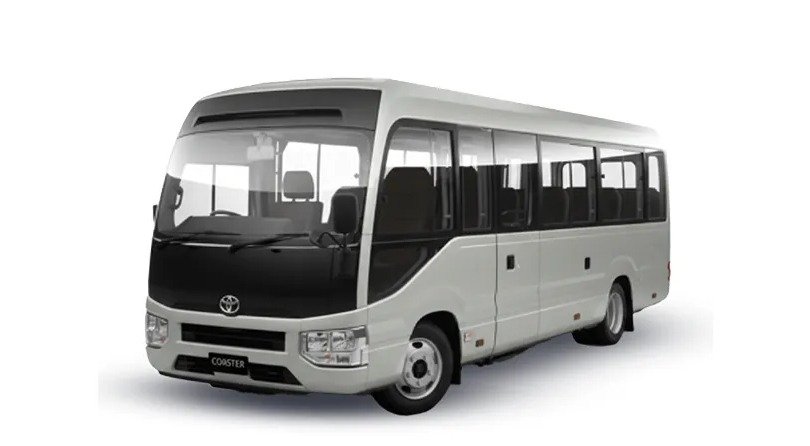 Buses